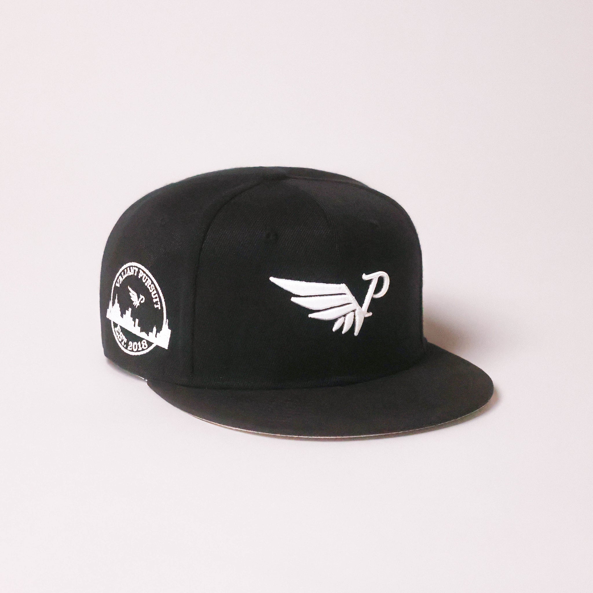 Onyx Snapback