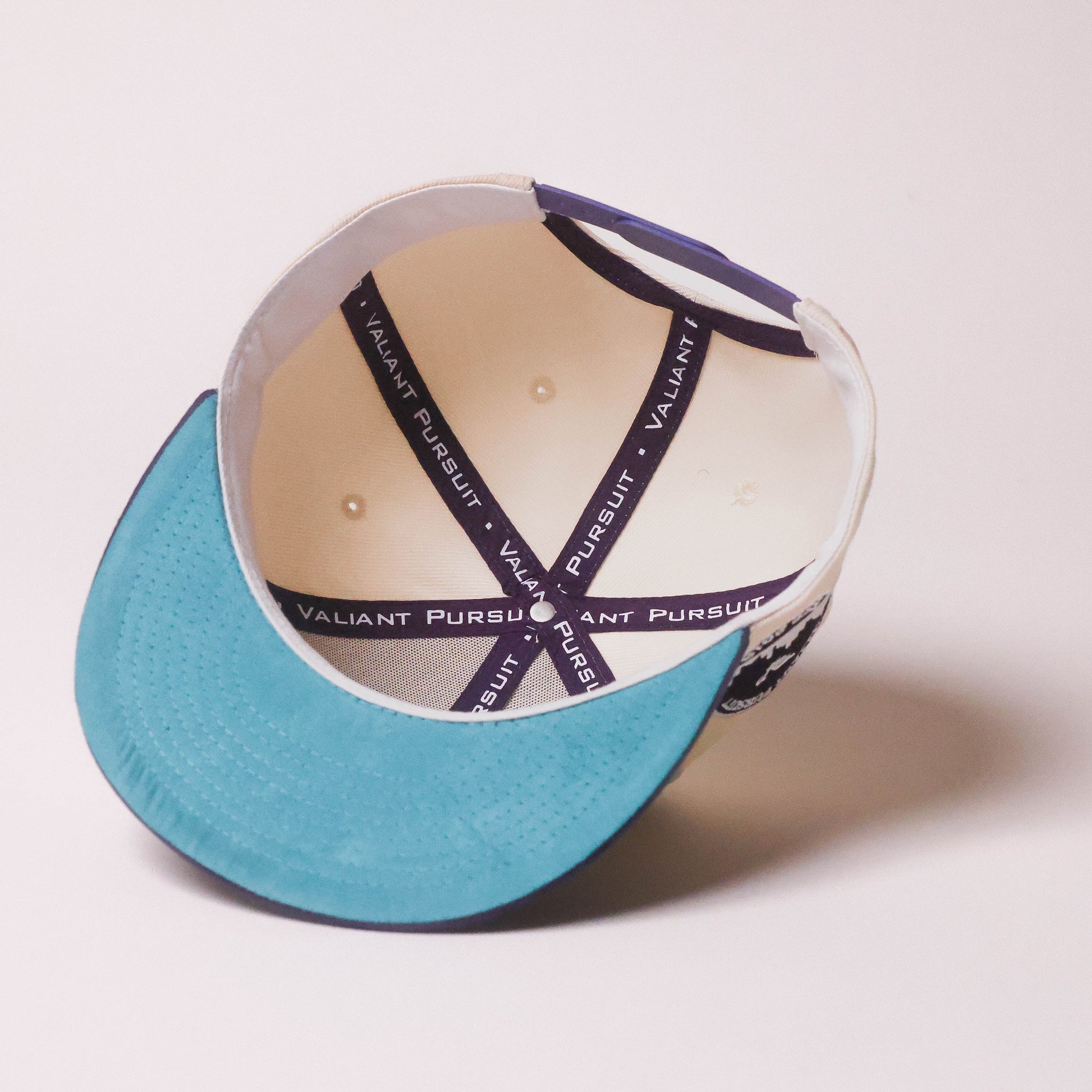 SE Grape Snapback