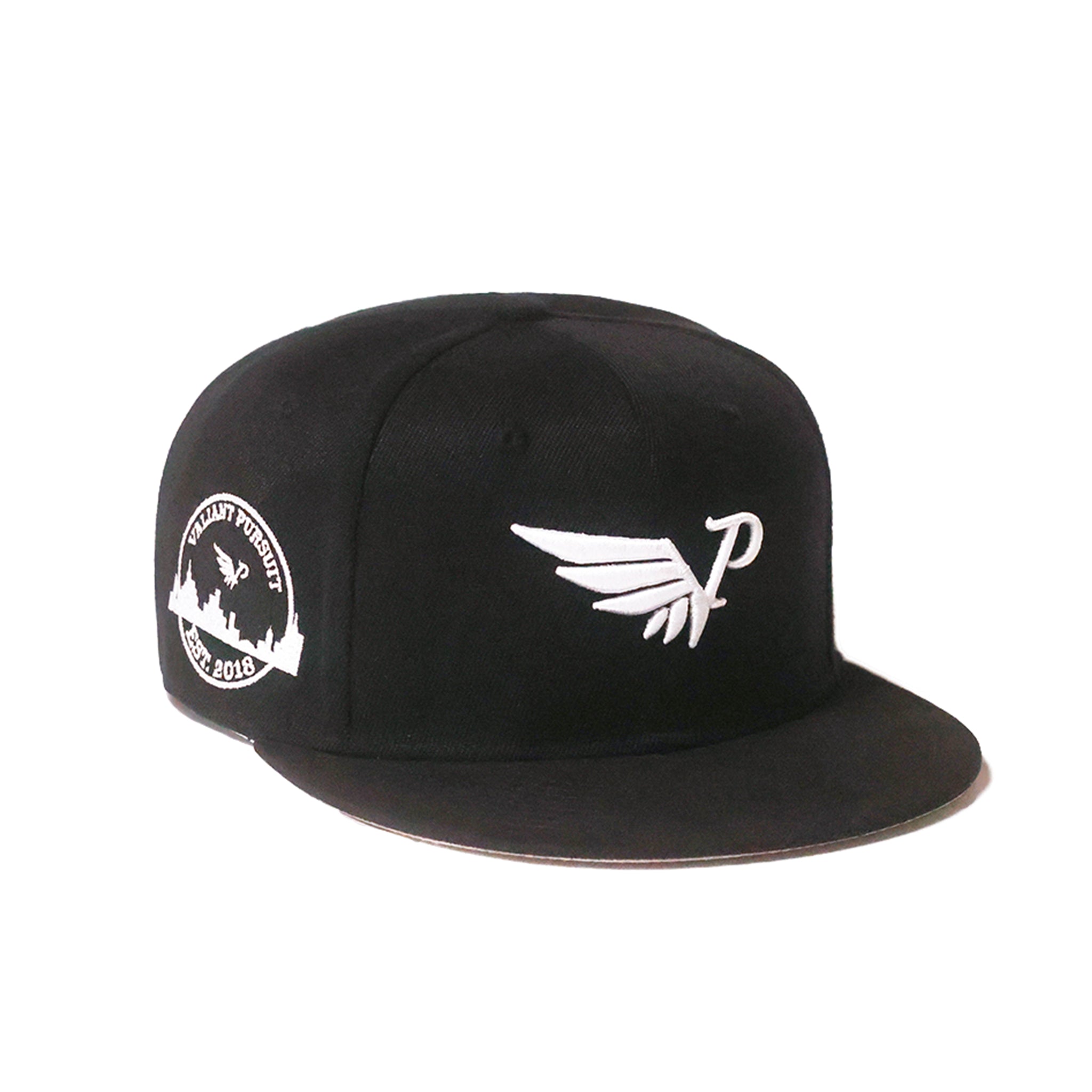 Onyx Snapback