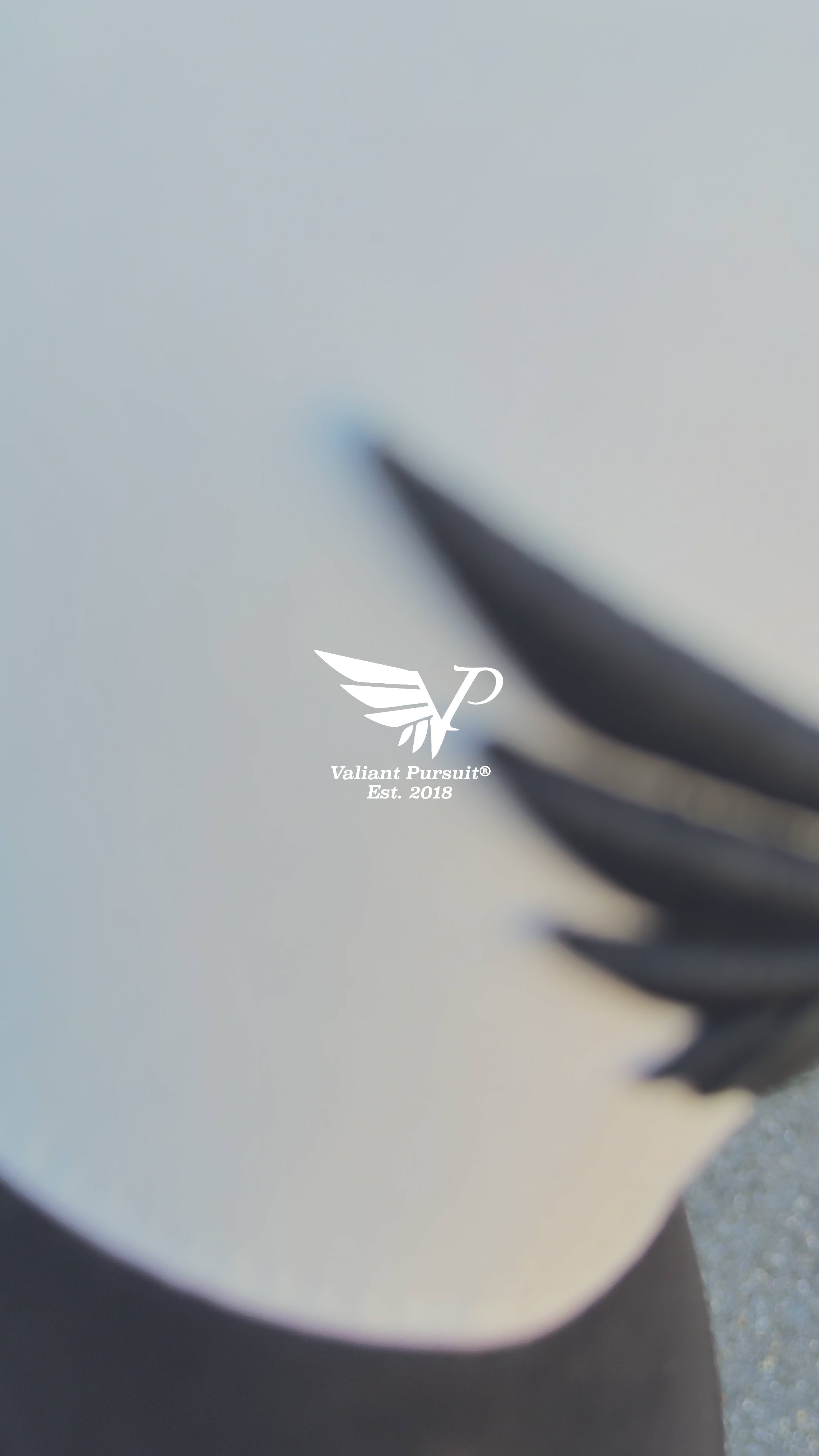 Off-White & Black Ink Fitted